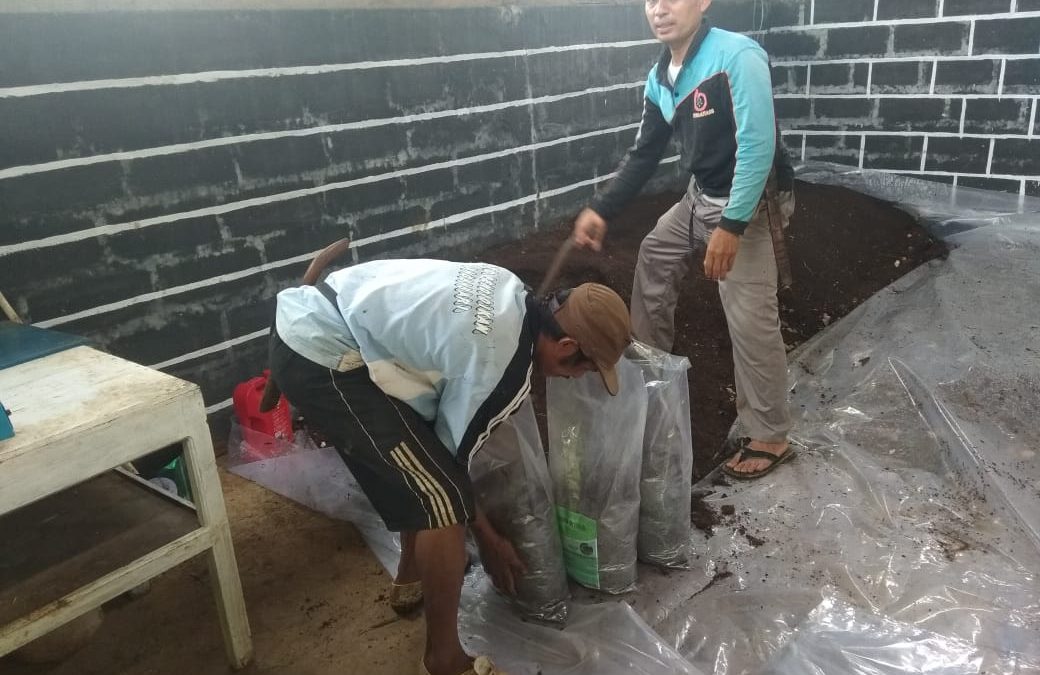 Pembuatan Pupuk kompos