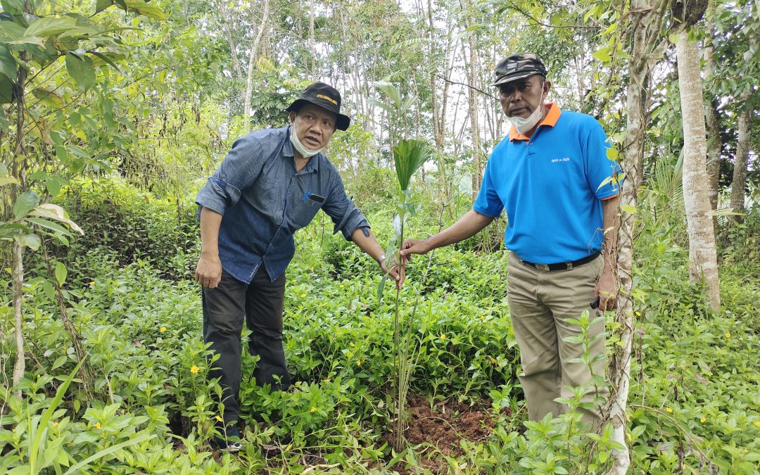 Gotong royong dalam melestarikan alam