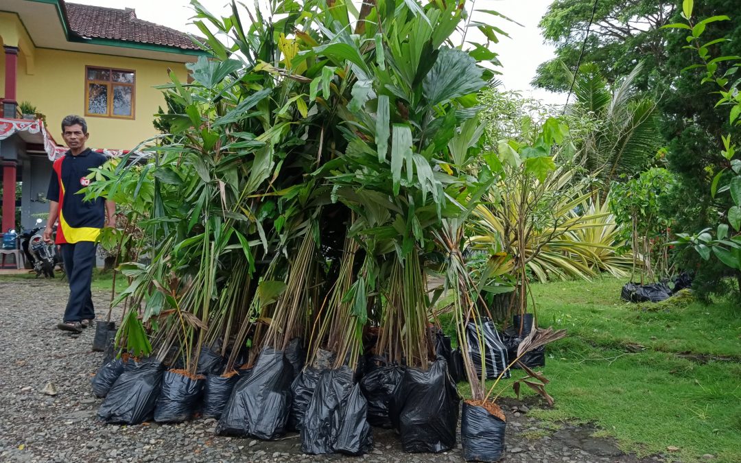 Bantuan bibit tanaman untuk pemulihan sumber mata Air